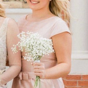 Blush Pink Gown - Alfred Sung- Aline